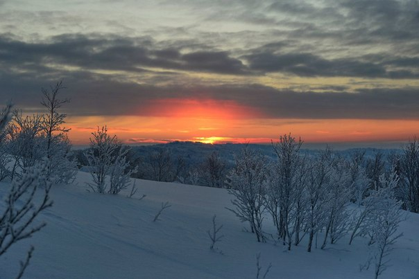 Заполярье (фото моих земляков)