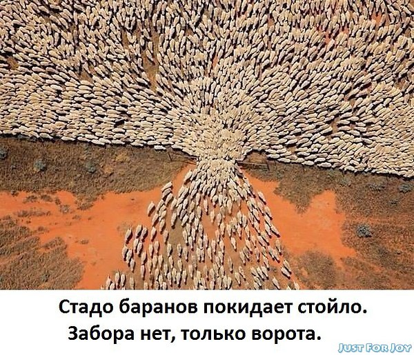 488ae46ca42b81392b184e51fd18b980.jpg