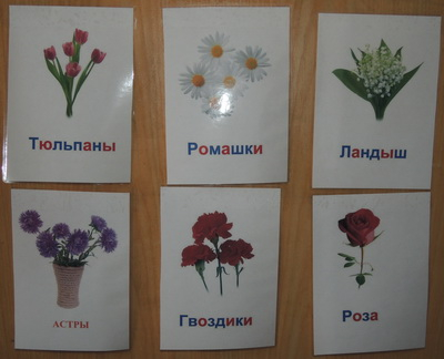 ТД 24 Цветы. 1г 10 мес