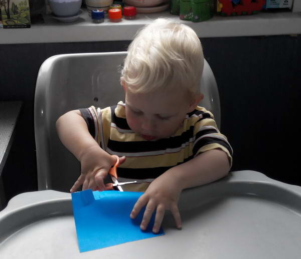 ТЗ 28 Дождик Шичида. 1г 10 мес