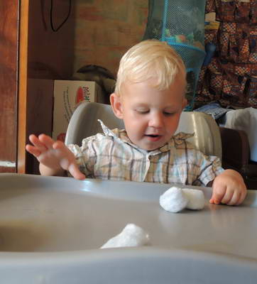 ТЗ 28 Дождик Шичида. 1г 10 мес