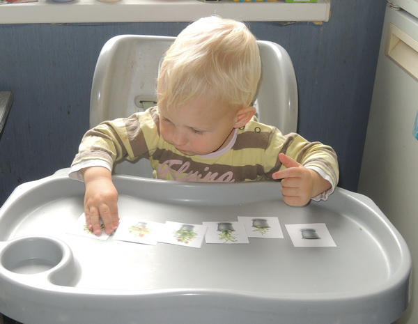 ТД 24 Цветы. 1г 10 мес