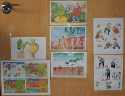 ТН 20 Как растут овощи. 1г 9 мес.