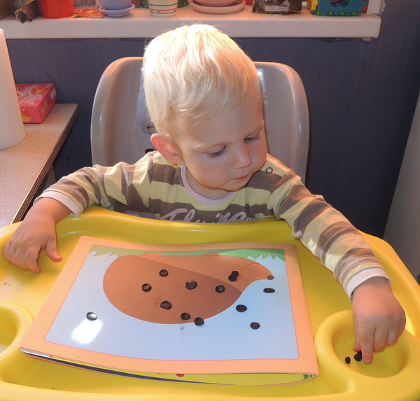 ТН 20 Как растут овощи. 1г 9 мес.