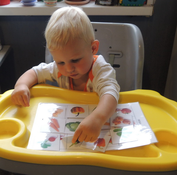 ТН 20 Как растут овощи. 1г 9 мес.