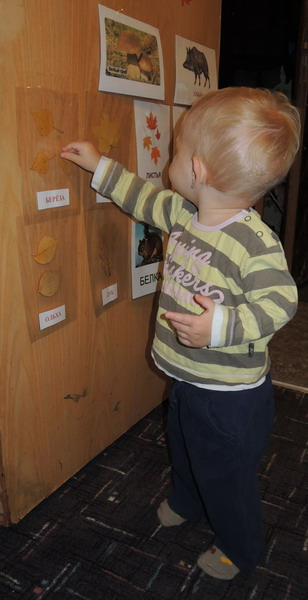 ТН №10 Осень. 1.4 г