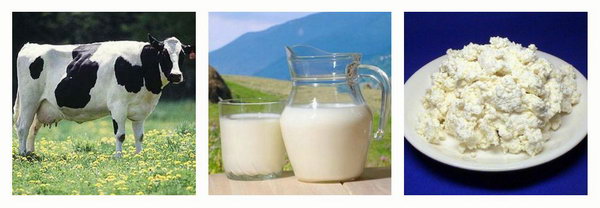 ТН № 14 Корова, молоко, творог. 1г 5м.