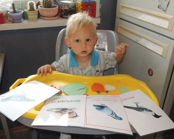 ТН 20 Как растут овощи. 1г 9 мес.