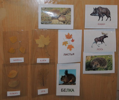 ТН №10 Осень. 1.4 г