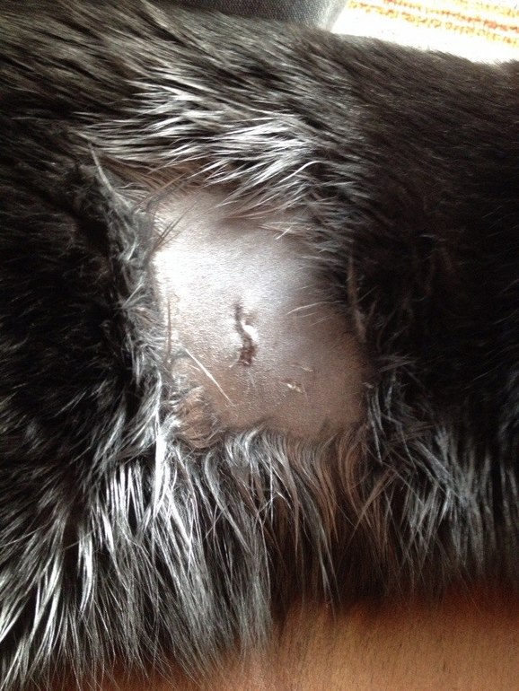 Мы сделали это!