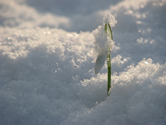 С Праздником!