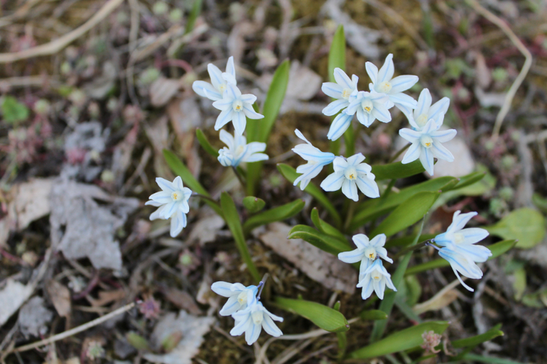 Открыли дачный сезон