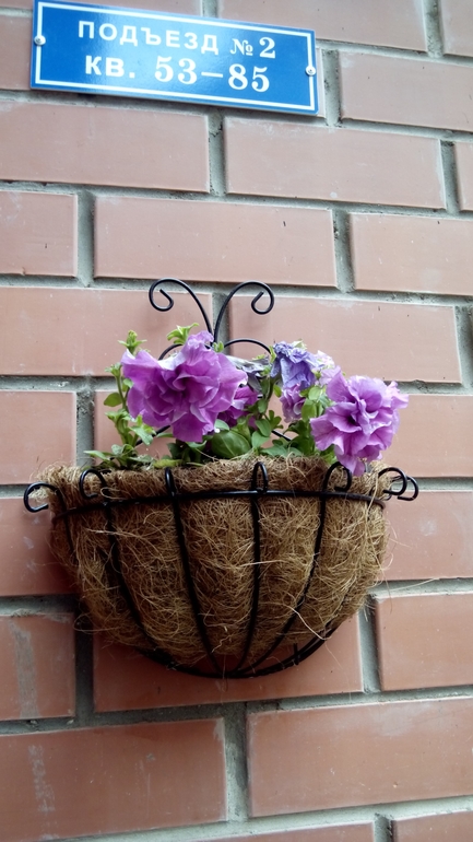 Все цветет и пахнет)