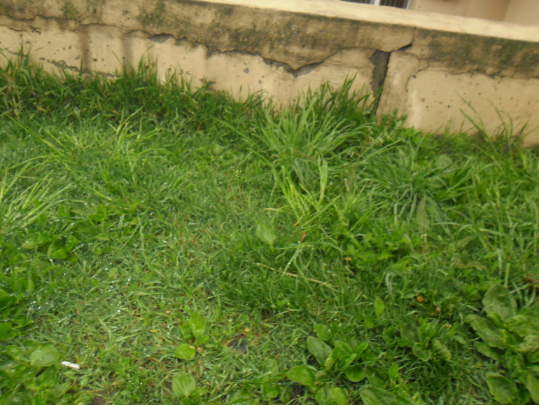 7ce2bd1bb4b490d8856fdf6c26dec013.jpg