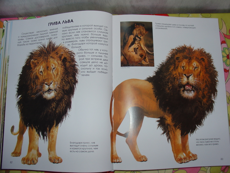 Мир животных, энциклопедия.