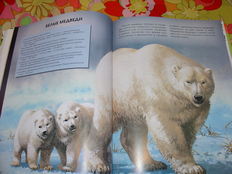 Мир животных, энциклопедия.