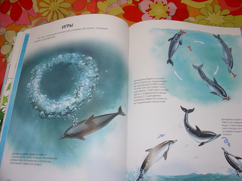 Мир животных, энциклопедия.