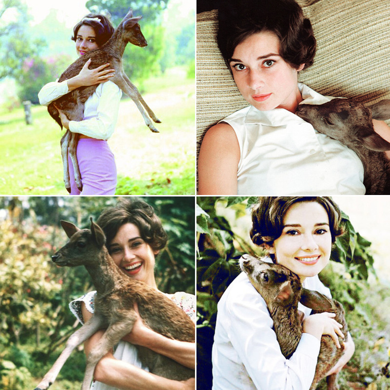 Звездный питомец