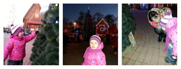 День Рождения Дедушки Мороза. Усадьба Дед Мороза. Парк Кузьминки.