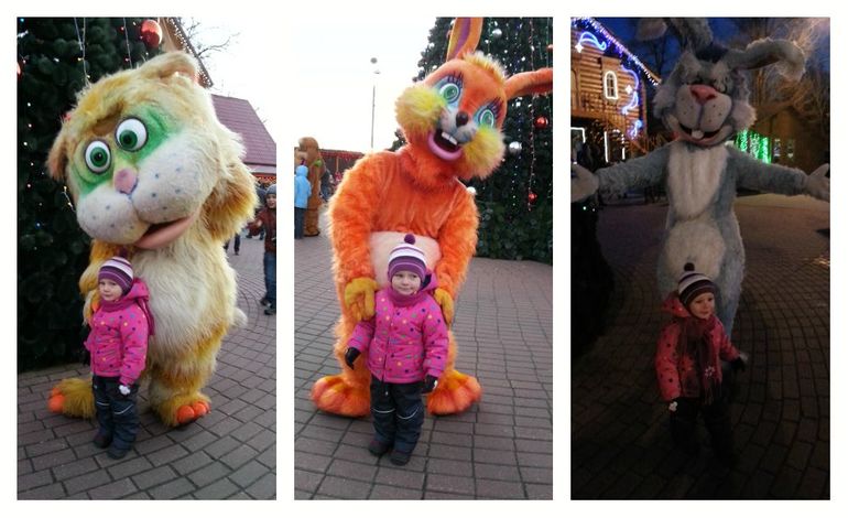 День Рождения Дедушки Мороза. Усадьба Дед Мороза. Парк Кузьминки.