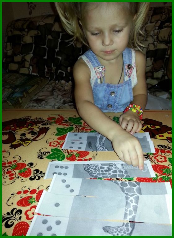 ТН Африка. Экваториальные леса.