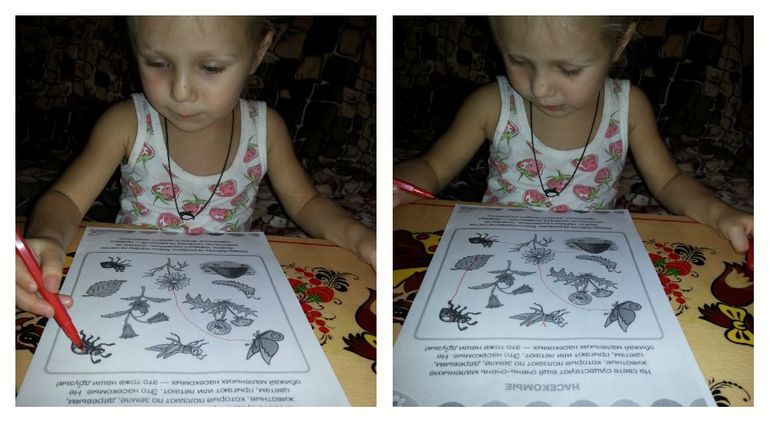 ТН Времена Года. Лето.