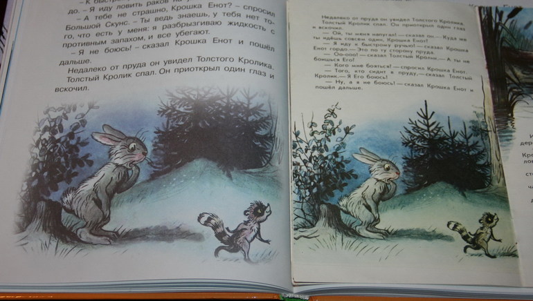 Наши книги с Сутеевым