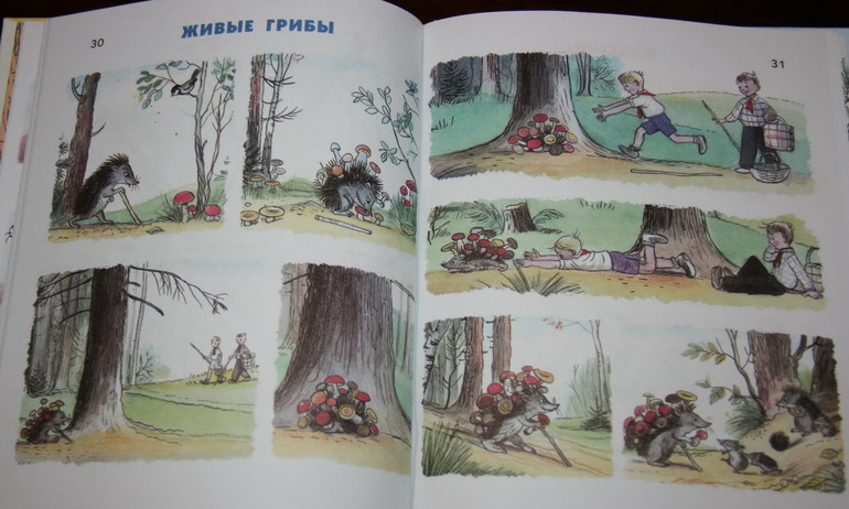 Наши книги с Сутеевым
