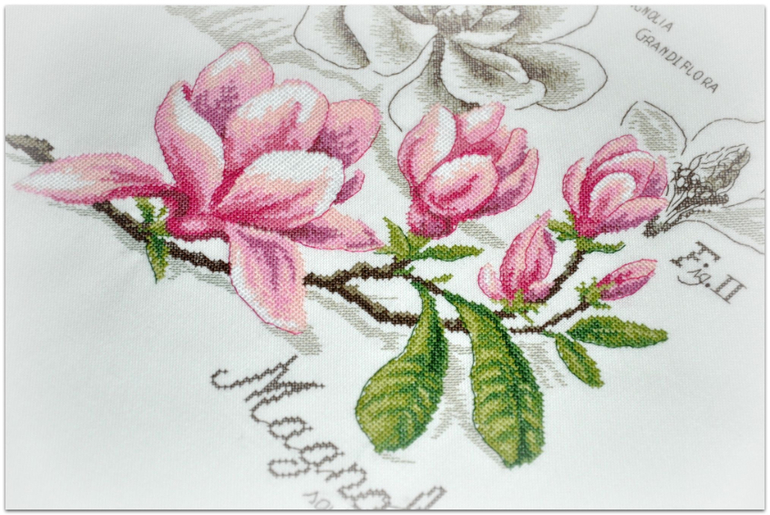 Магнолия, Véronique Enginger