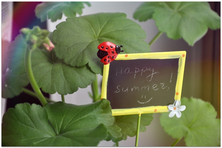 Лето в моей квартире - для конкурса