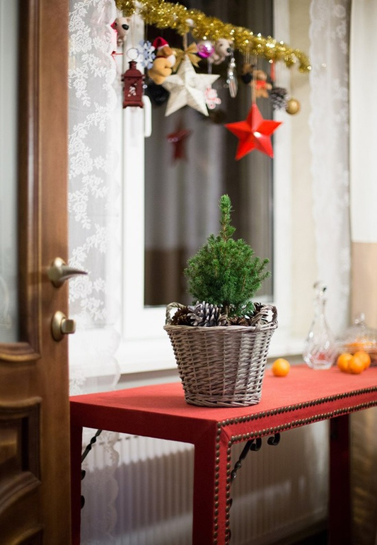 Новогоднее убранство дома Натальи - часть 2