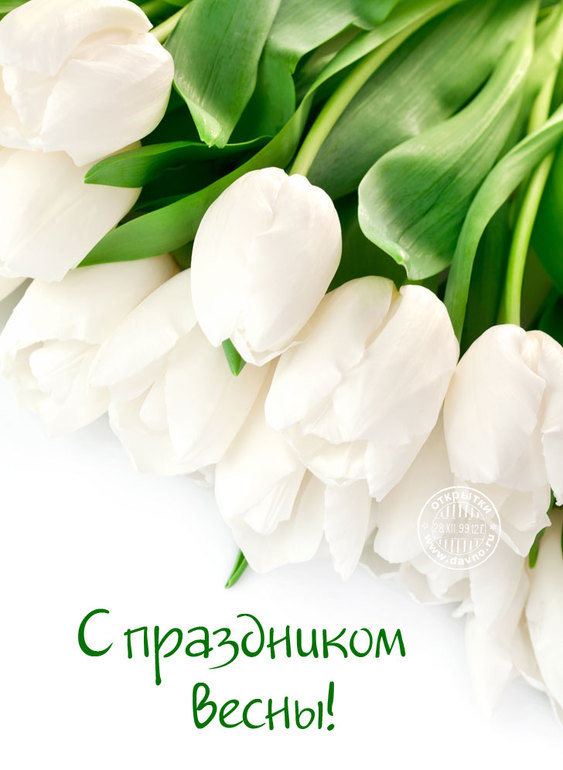 b7349cd0e896ae6671fe84c4eabe08fe.jpg