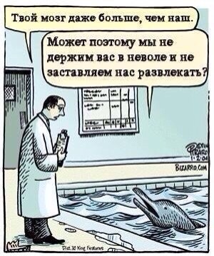 Вместо тысячи слов