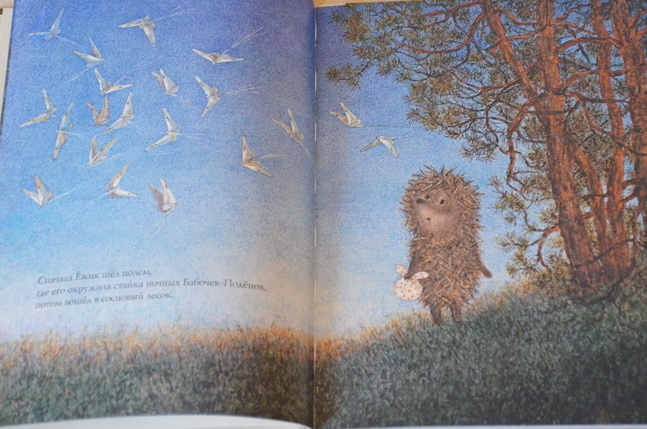 Две очень ночные книги!