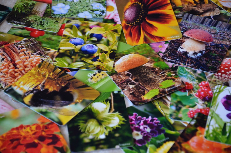 Прогулки по лету