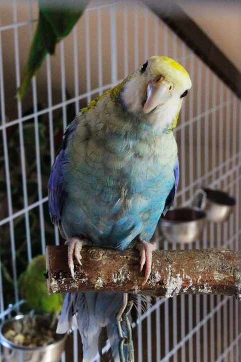 Девчачьи вылазки. Часть первая - трогательная