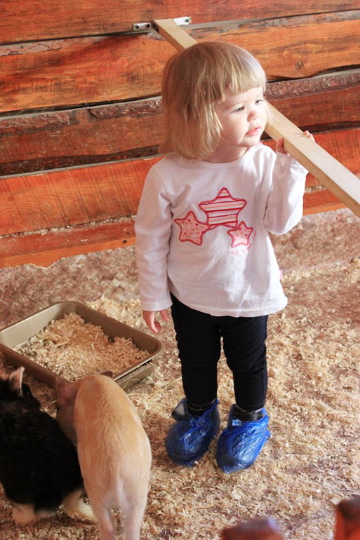 Девчачьи вылазки. Часть первая - трогательная