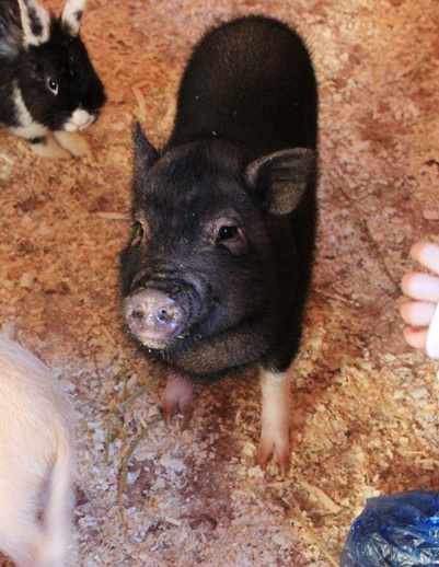 Девчачьи вылазки. Часть первая - трогательная