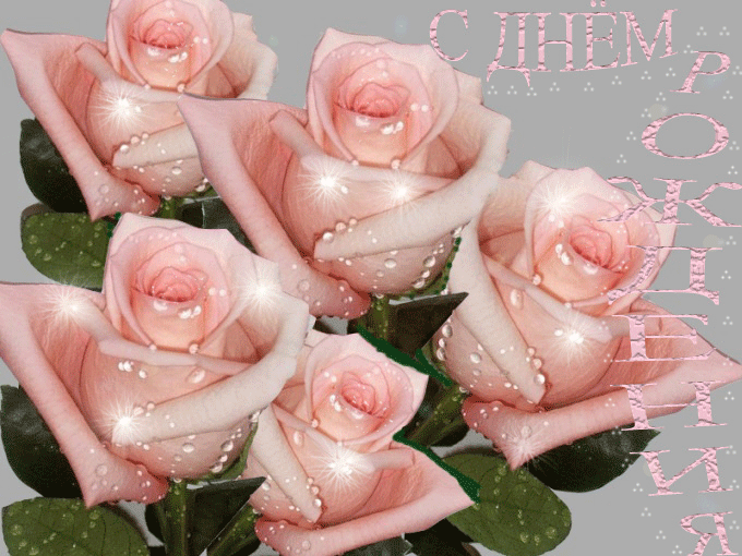 cc51441e4c84cd176f98dd1549193892.gif
