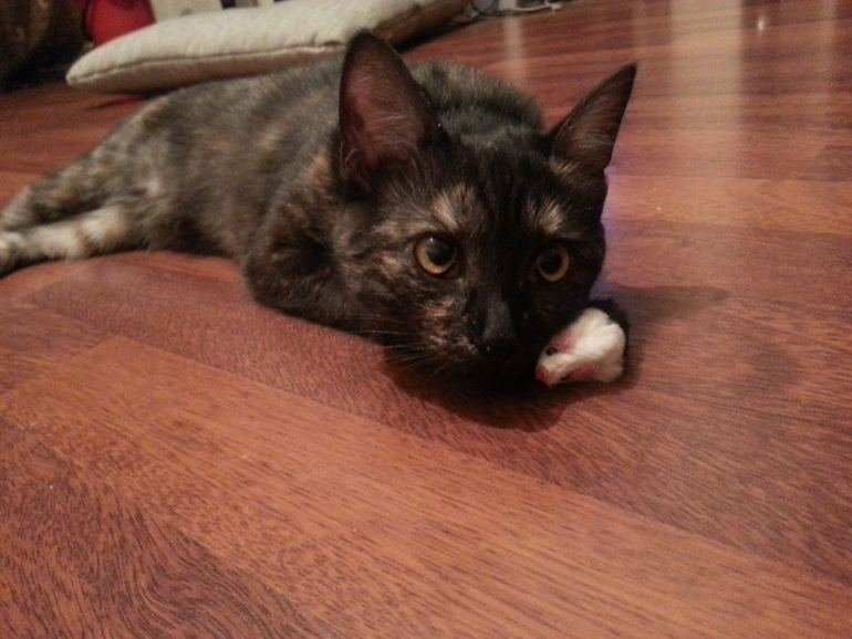 Моя девочка!!!!!