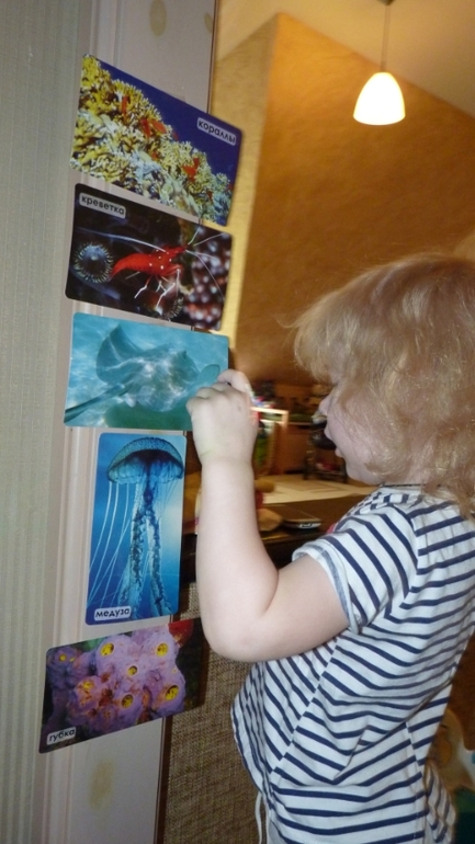 ТН Море и его обитатели. День 1