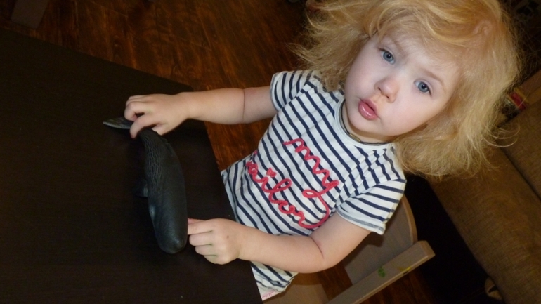 ТН Море и его обитатели. День 1