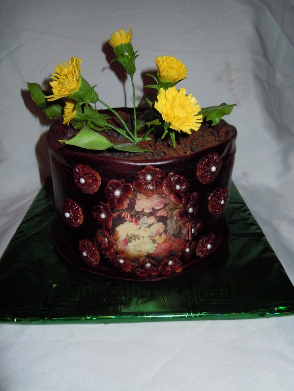 Одуванчики в горшочке