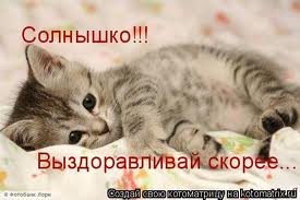 f11c879cef00fd8f1cbec8705ce551ff.jpg