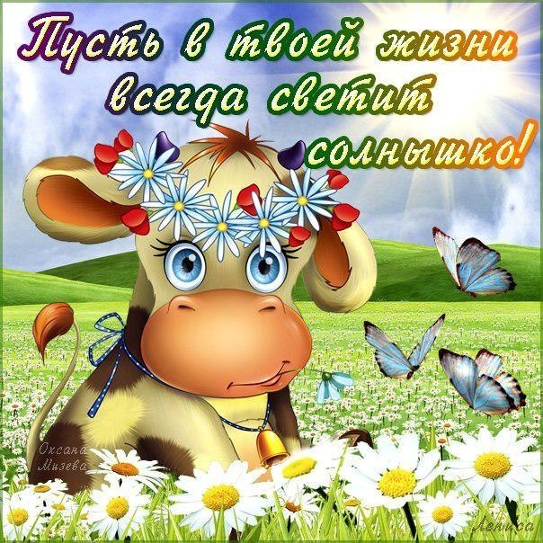 e104f1ffabede738bbf65cafe18c39c5.jpg
