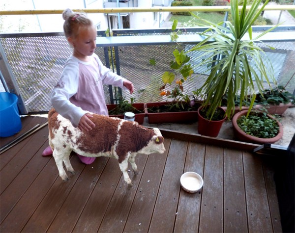 ОТКРЫТИЕ КОНТАКТНОГО ЗООПАРКА! КОНФЕТКА