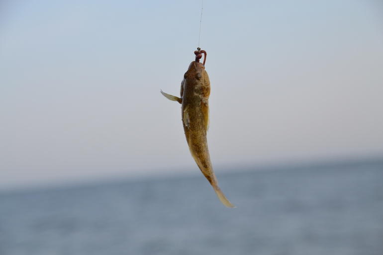 Пляжные игры