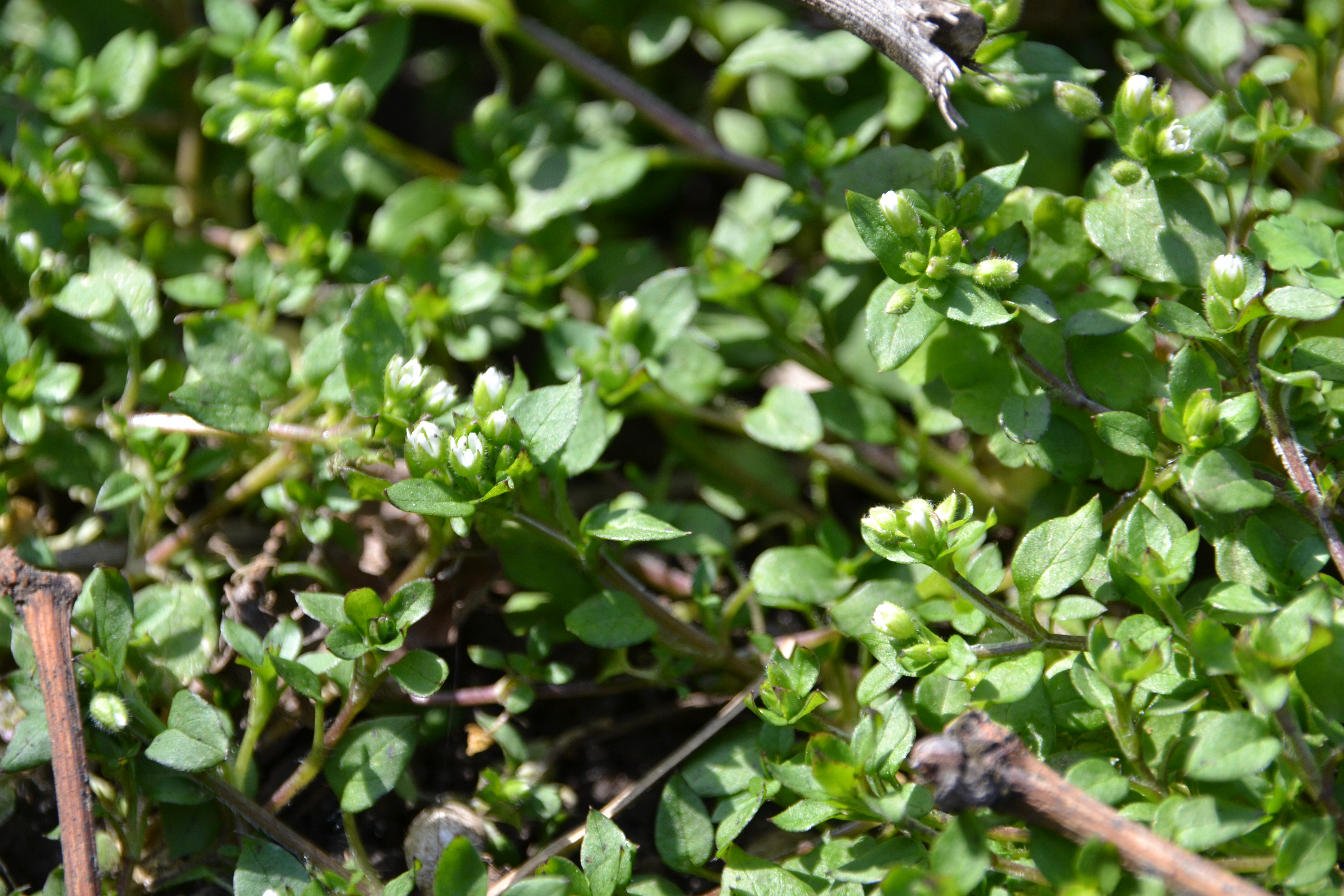 Ближе к природе