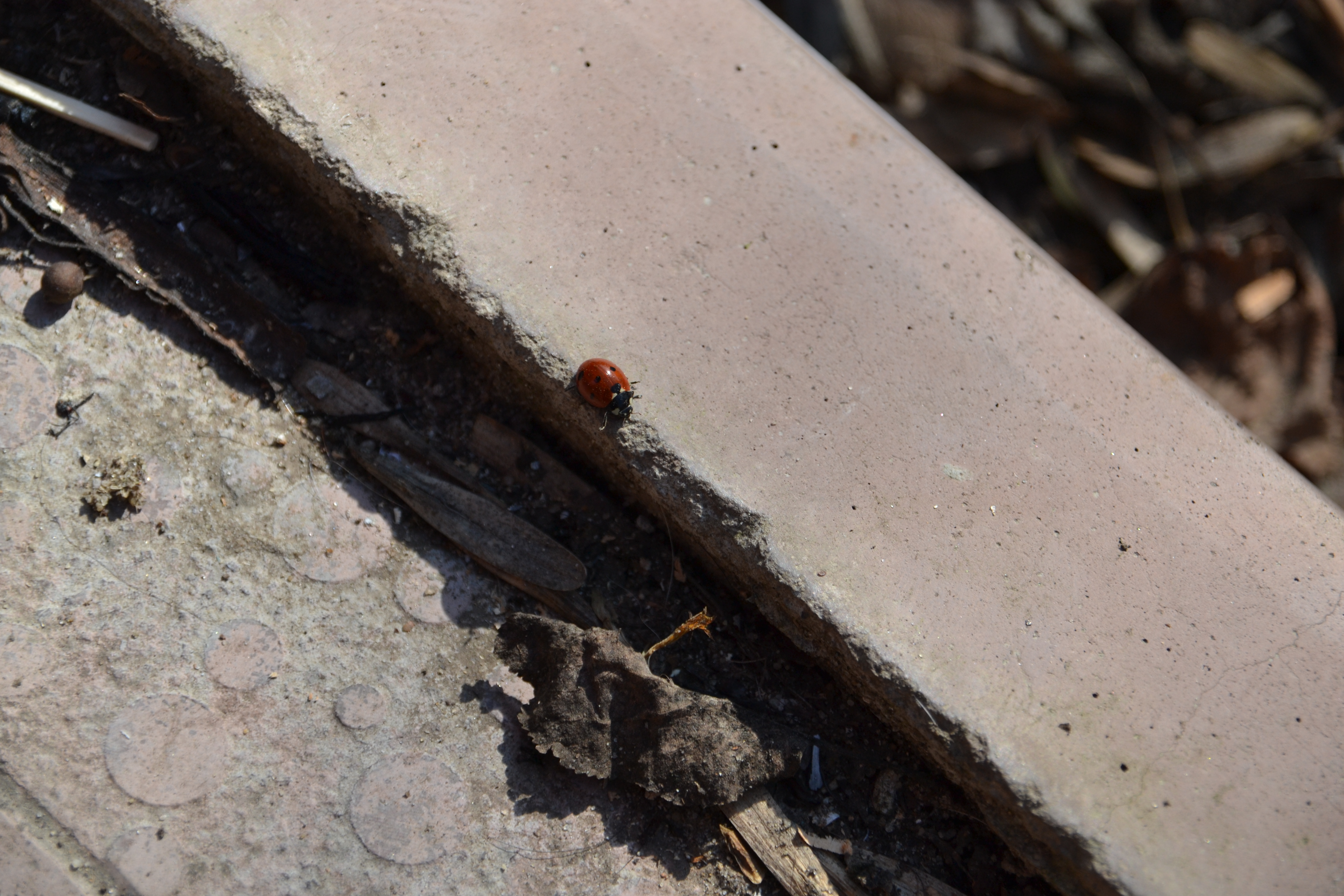 Ближе к природе