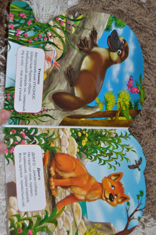 ТН Австралия